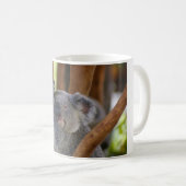 Tasse d'ours de koala (Devant droit)