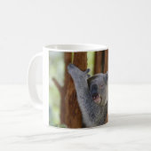 Tasse d'ours de koala (Devant gauche)