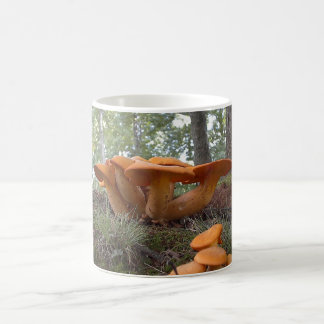 Tasse du champignon 13