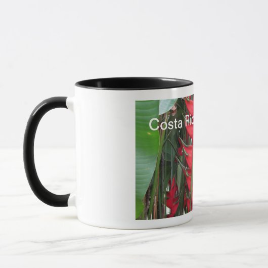 Tasse du Costa Rica (Gauche)