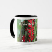 Tasse du Costa Rica (Devant gauche)