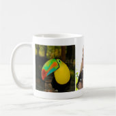 Tasse du Costa Rica (Gauche)