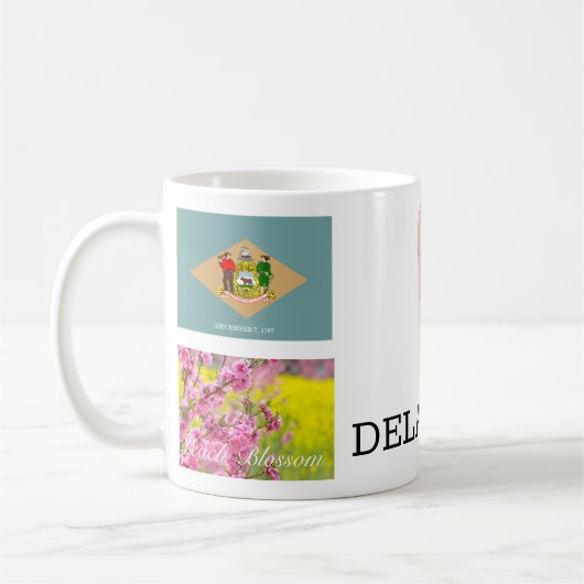 TASSE DU DELAWARE (Gauche)