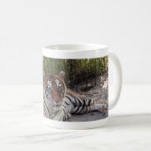 Tasse du tigre de Bengale 003 (Devant droit)