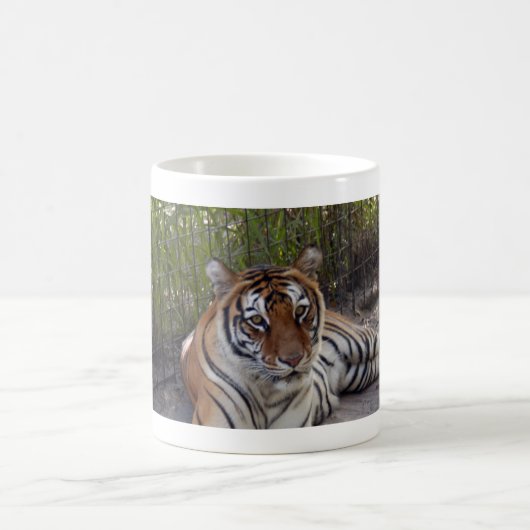 Tasse du tigre de Bengale 003 (Centre)