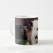 Tasse effrontée de chèvre (Devant gauche)