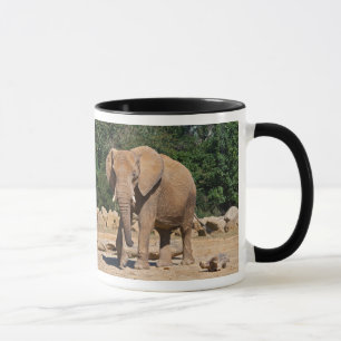 Tasse Éléphant Mâle