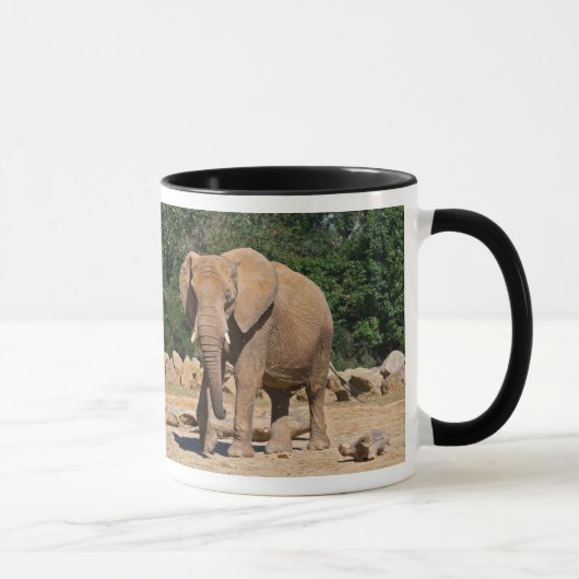 Tasse Éléphant Mâle (Droite)