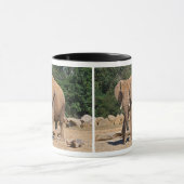 Tasse Éléphant Mâle (Centre)