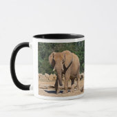 Tasse Éléphant Mâle (Gauche)