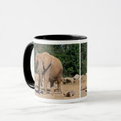 Tasse Éléphant Mâle (Devant gauche)