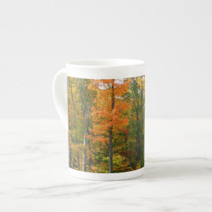 Tasse En Porcelaine Érables en automne Photographie de la nature