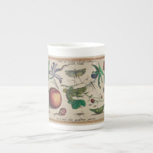 Tasse En Porcelaine Les insectes antiques, fleurs, porte des fruits
