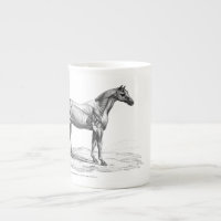 Rétro image d'anatomie de muscle de cheval