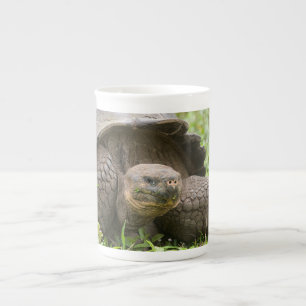 Tasse En Porcelaine Tortue géante