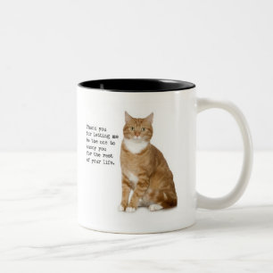Tasse ennuyante de chat