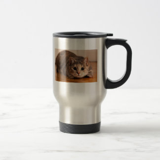 Tasse espiègle de chat