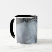 Tasse esquimaude américaine (Devant gauche)