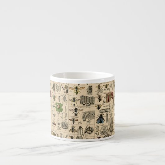 Tasse Expresso Abeille Insecte Bug Wasp Nature Peinture des abeil (Devant)