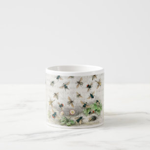 Tasse Expresso Abeille Reine Entomologie Botanique Vintage