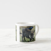Tasse Expresso Afrique du Sud, Pilanesburg GR, Warthog (Devant droit)