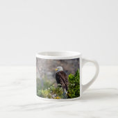 Tasse Expresso Aigle bald assis sur le rocher (Droite)