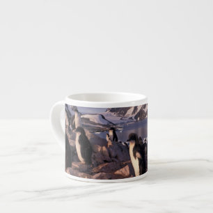Tasse Expresso Antarctique, poussins de manchots Adélie