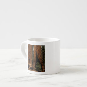 Tasse Expresso Arbres de séquoia, Parc national de Sequoia.