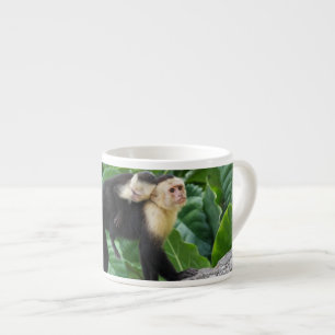 Tasse Expresso Bébé de transport de singe adulte de capucin sur