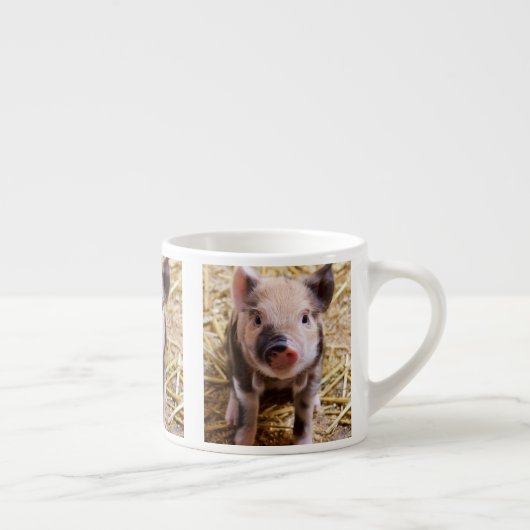 Tasse Expresso Bébés mignons de basse-cour d'animaux de ferme de (Droite)