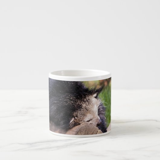 Tasse Expresso Binturong endormi (Devant)