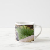 Tasse Expresso Binturong endormi (Droite)