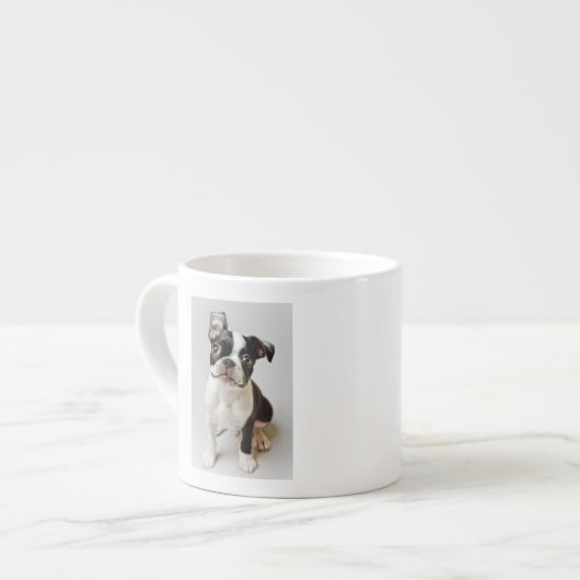 Tasse Expresso Boston Terrier (Devant gauche)