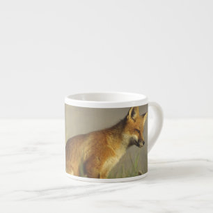 Tasse Expresso Canada, Québec. Jeune renard roux au lever du sole