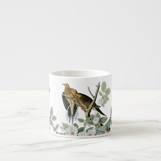 Tasse Expresso Carolina Pigeon Audubon Morning Dove (Devant)