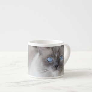 Tasse Expresso Chatte Ragdoll