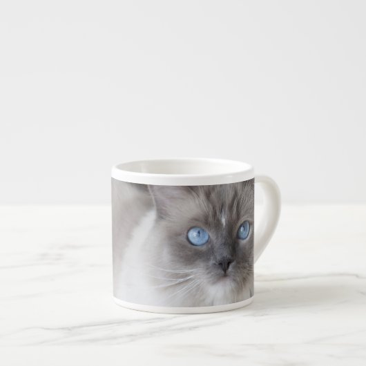 Tasse Expresso Chatte Ragdoll (Devant droit)