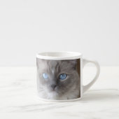 Tasse Expresso Chatte Ragdoll (Droite)