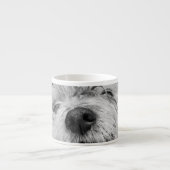 Tasse Expresso Chien de Coton de Tulear (Devant)