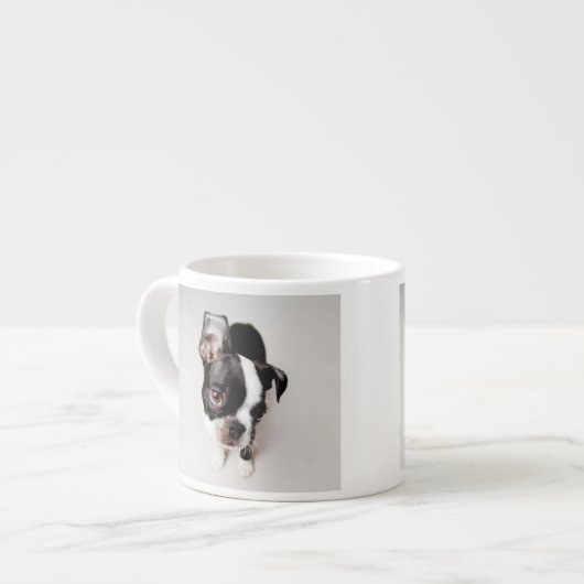 Tasse Expresso Chiot d'Edison Boston Terrier (Devant gauche)
