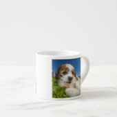 Tasse Expresso Chiot mignon (Shitzu) (Devant droit)