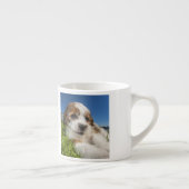 Tasse Expresso Chiot mignon (Shitzu) (Droite)
