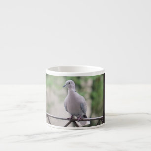 Tasse Expresso Colombe blanche mignonne Pigeon Symbole d'amour &