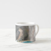 Tasse Expresso Coopers Hawk (Devant droit)