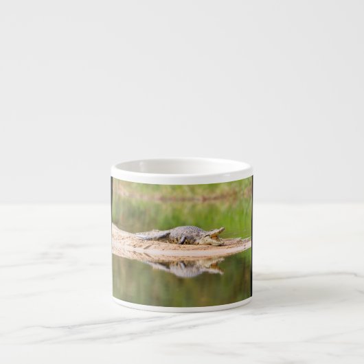 Tasse Expresso Crocodile (Devant)