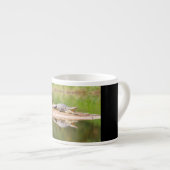 Tasse Expresso Crocodile (Devant droit)