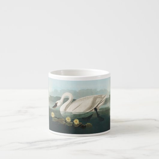 Tasse Expresso cygne audubon cygnes d'eau blanche (Devant)
