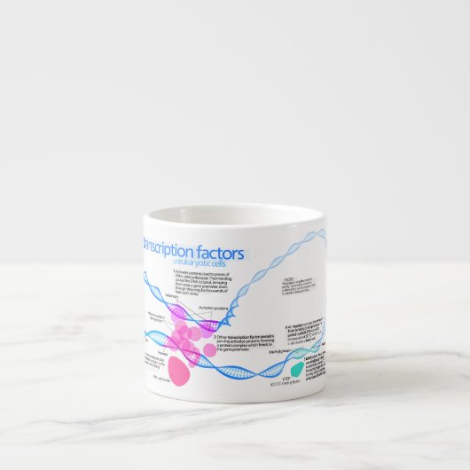 Tasse Expresso Diagramme des facteurs de transcription de gène (Devant)