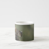 Tasse Expresso Écureuil gris de l'Est, ou écureuil gris (Devant)