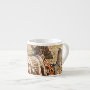 Tasse Expresso Égypte, Le Caire. Chameaux au repos